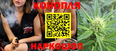 мдма Камышлов