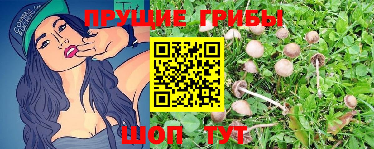 Псилоцибиновые грибы мухоморы Кушва