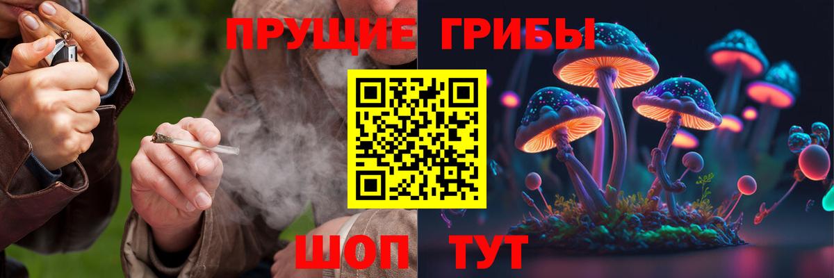 Кушва  Псилоцибиновые грибы MAGIC MUSHROOMS  Вход с VPN  Галлюциногенные грибы прущие грибы 